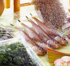 合掌袋/品番 M152Pシリーズ